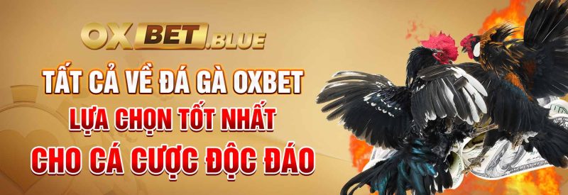 Đá Gà Cựa Dao - Cách Đặt Cược Và Chiến Thắng