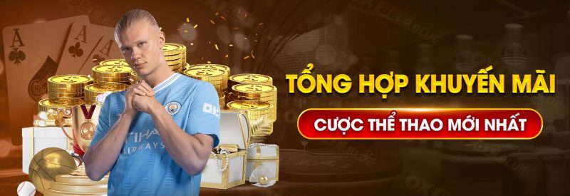 Tổng Hợp Khuyến Mãi Cược Thể Thao Mới Nhất Tại OXBET