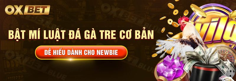 Bật Mí Luật Đá Gà Tre Cơ Bản, Dễ Hiểu Dành Cho Newbie 